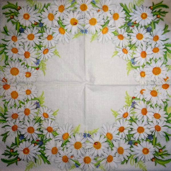 348 Daisies - 3-ply - CS